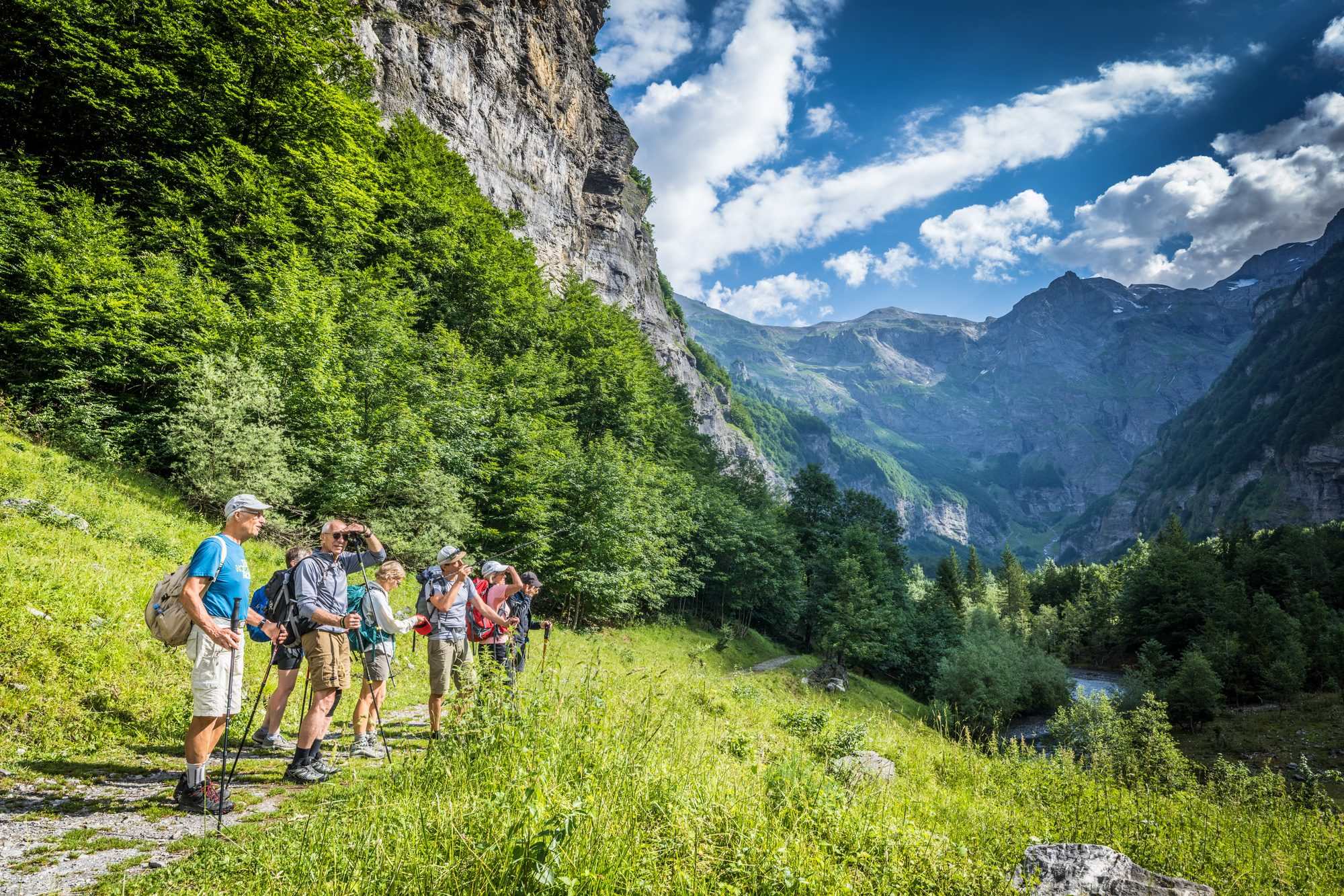 Randonneurs sur un sentier de montagne en été
