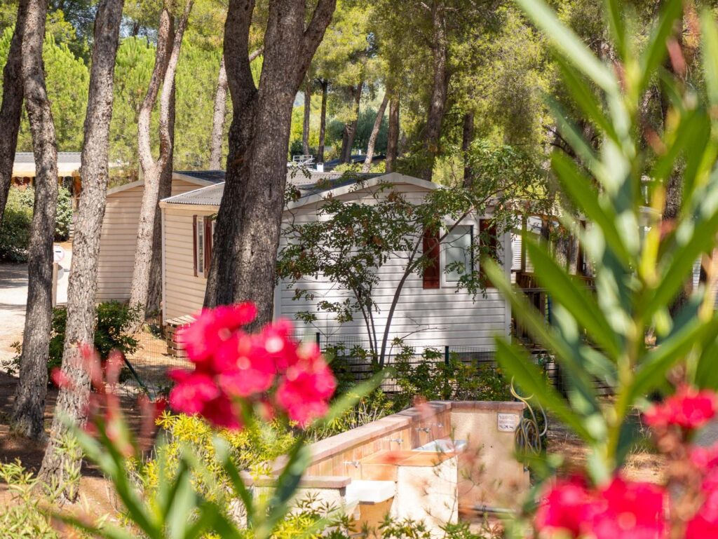 Mobil-homes parmi les pins et lauriers roses