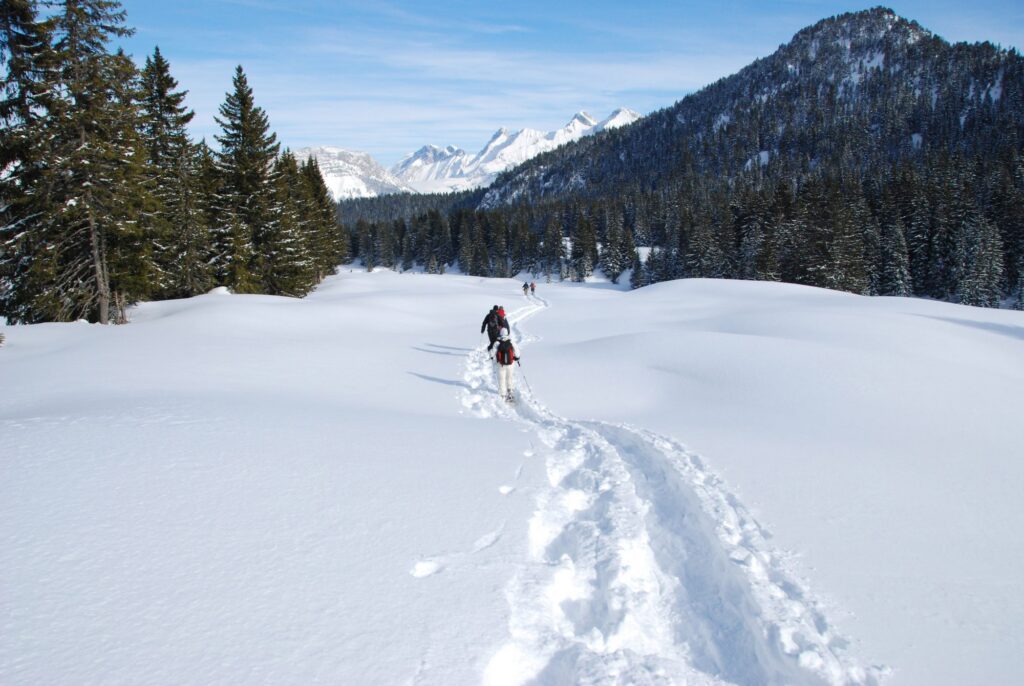 Randonneur solitaire en raquettes sur la neige