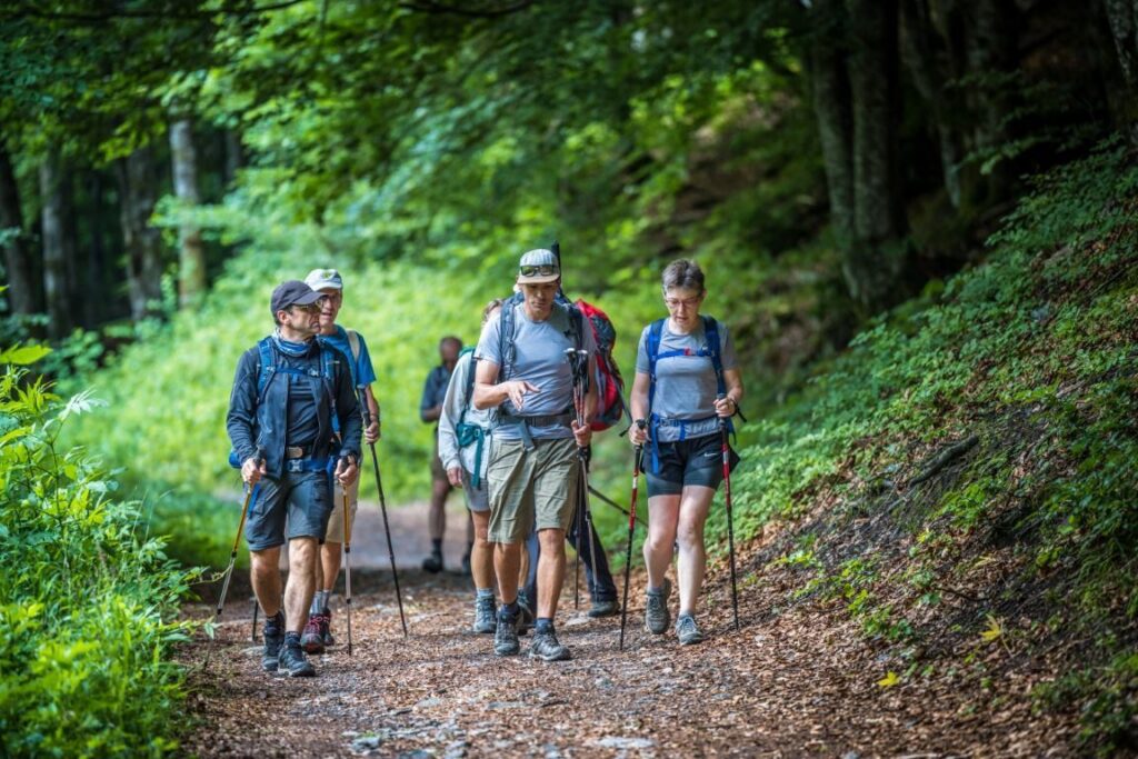 Groupe de randonneurs en sous-bois