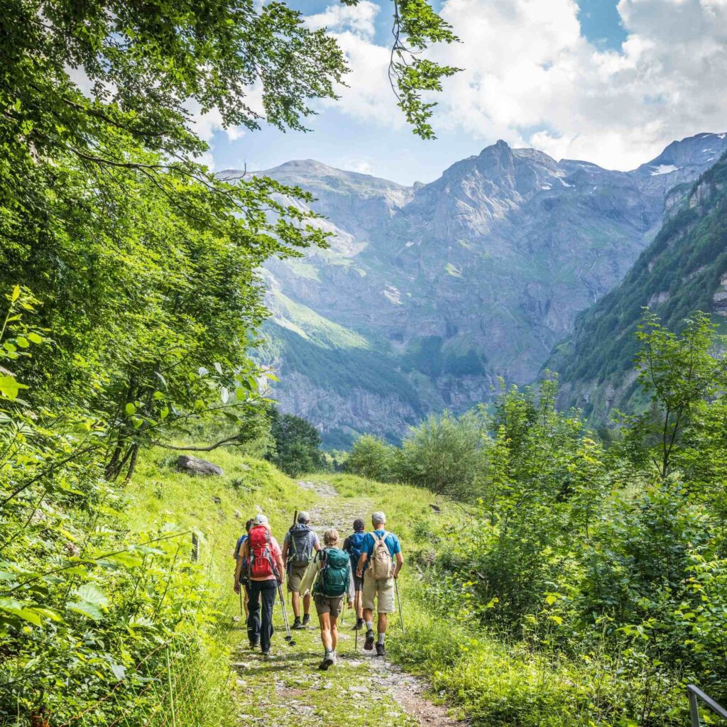 Groupe de randonneurs en forêt