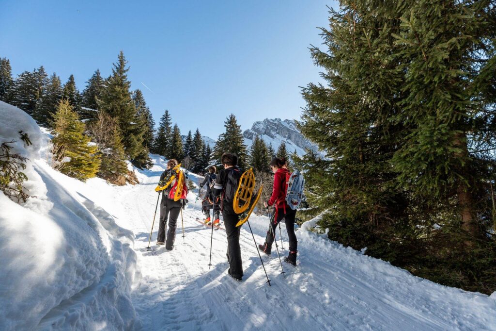 Groupe en randonnée raquettes dans la forêt enneigée