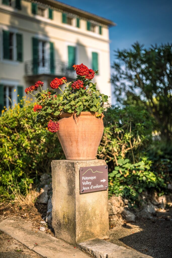 Vasque de géraniums dans un jardin méditerranéen
