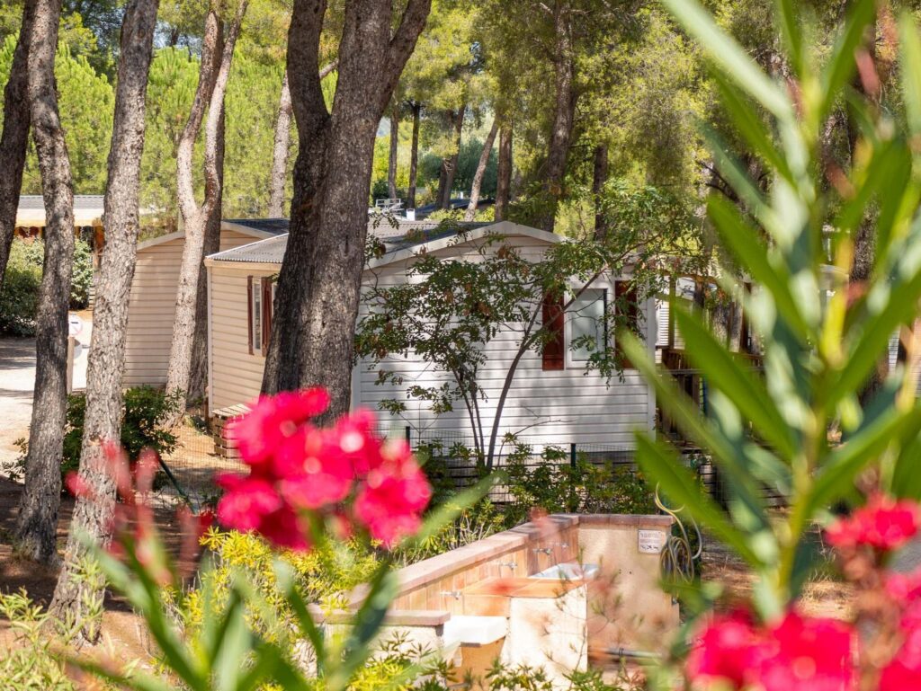 Mobil-home entouré de lauriers roses