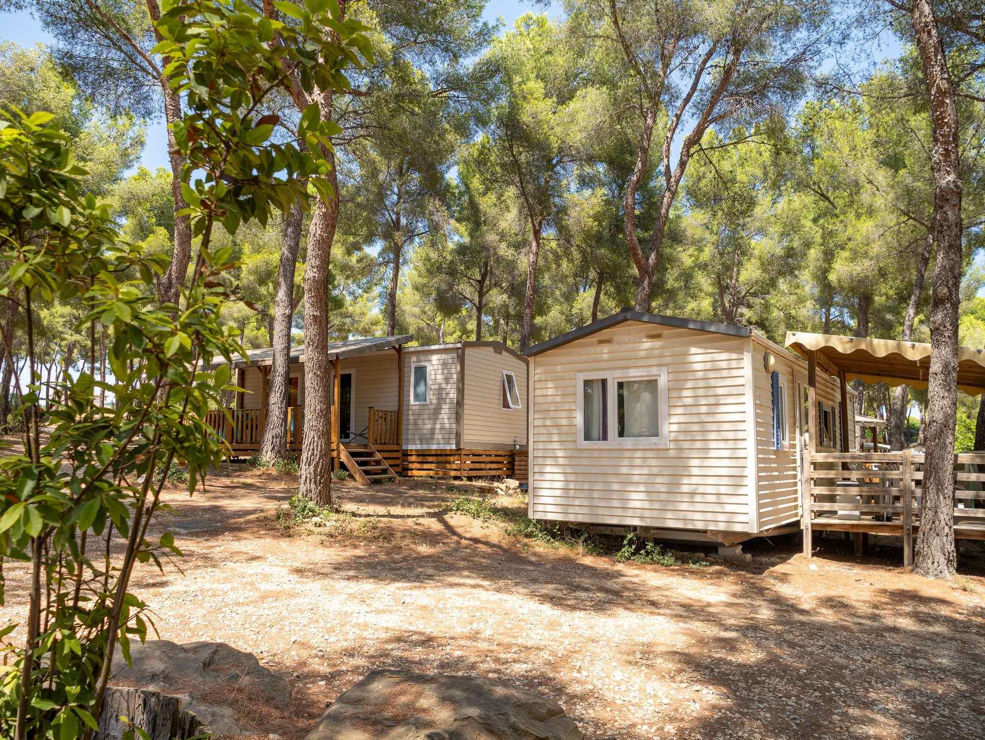 Mobil-home installé parmi les pins
