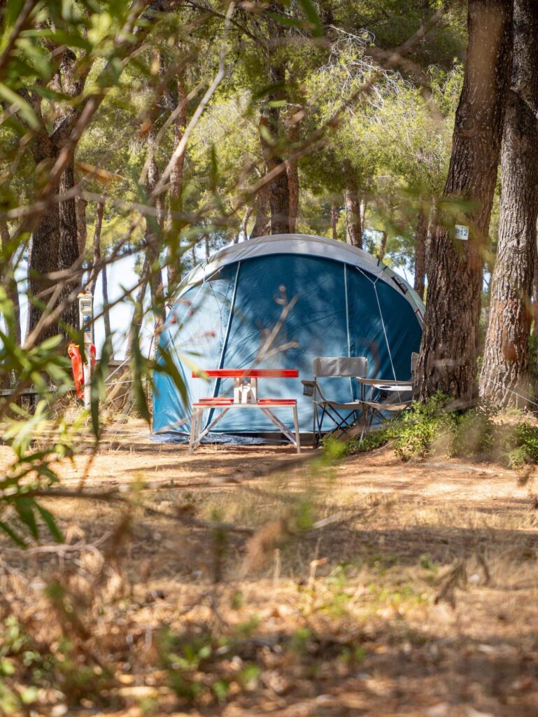 Tente dôme installée sous les pins